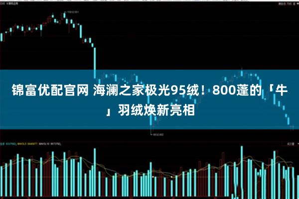 锦富优配官网 海澜之家极光95绒！800蓬的「牛」羽绒焕新亮相