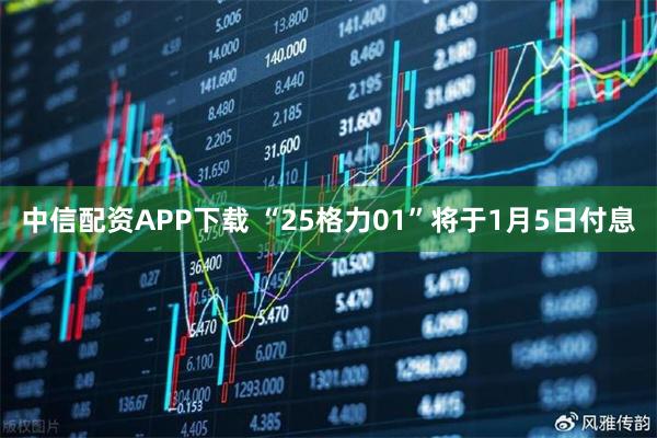 中信配资APP下载 “25格力01”将于1月5日付息