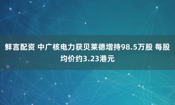 鲜言配资 中广核电力获贝莱德增持98.5万股 每股均价约3.23港元