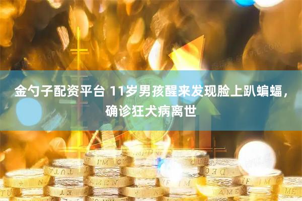 金勺子配资平台 11岁男孩醒来发现脸上趴蝙蝠，确诊狂犬病离世
